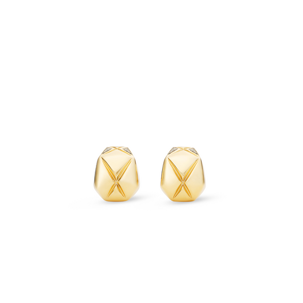 Eden Diamond Large Earrings